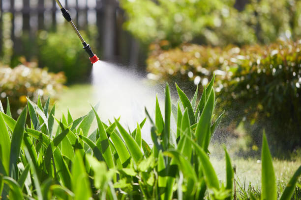 24/7 Emergency Wasp Removal experts in Pantops, VA