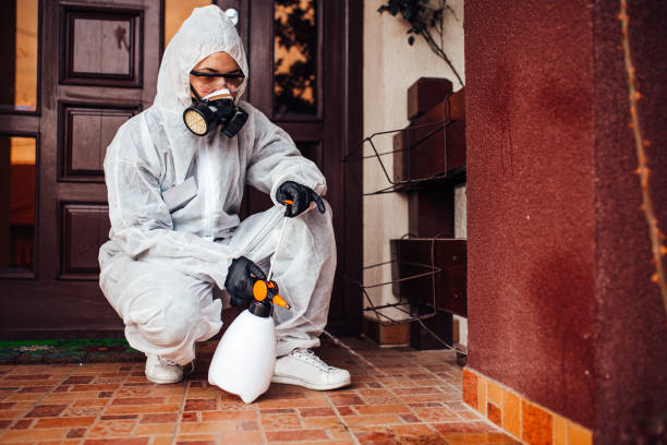 Reliable Wasp Removal contractor in Pantops, VA by Show Me Pest Control